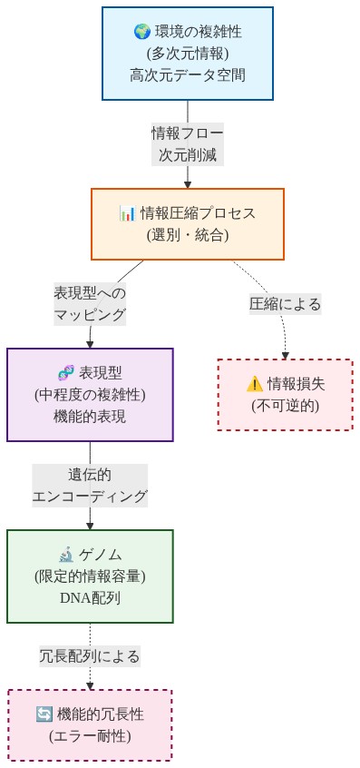 ゲノムボトルネックの情報圧縮プロセスを示す図。環境の複雑性（多次元情報）から始まり、情報圧縮プロセスを経て表現型（中程度の複雑性）へ、さらにゲノム（限定的な情報容量）へと段階的に圧縮される。圧縮による情報損失と、ゲノムの機能的冗長性によるエラー耐性が点線で示されている。