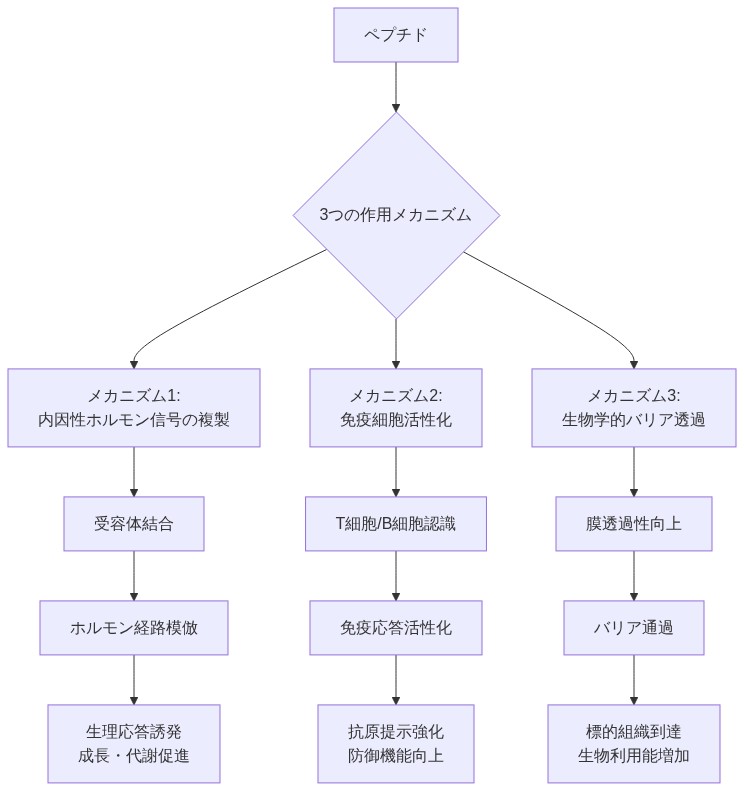 ペプチドの3つの主要な作用メカニズムを示すフロー図。上部のペプチドから3つの経路に分岐し、(1)内因性ホルモン信号の複製:受容体結合→ホルモン経路模倣→生理応答誘発、(2)免疫細胞活性化:T細胞/B細胞認識→免疫応答活性化→防御機能向上、(3)生物学的バリア透過:膜透過性向上→バリア通過→標的組織到達、の各メカニズムと下流効果を表現。