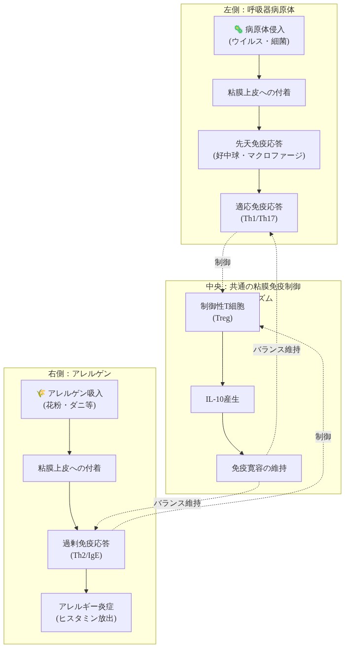病原体とアレルゲンに対する粘膜免疫応答の比較図。左側は呼吸器病原体の侵入から先天免疫・適応免疫応答までのプロセス、右側はアレルゲン吸入から過剰免疫応答・アレルギー炎症までのプロセスを示す。中央には両者に共通する粘膜免疫制御メカニズム(制御性T細胞とIL-10産生による免疫寛容の維持)を配置し、点線矢印で制御関係を表示している。